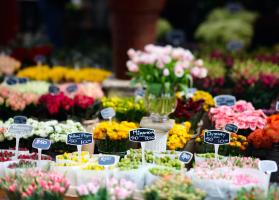 Hollandmarkt